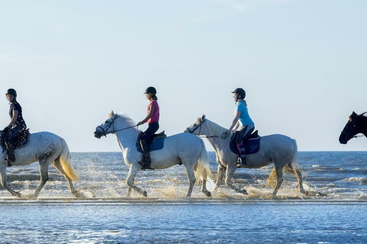 Charmant 2 Pieces A 500 M Des Plages Et Du Centre Кабур Экстерьер фото